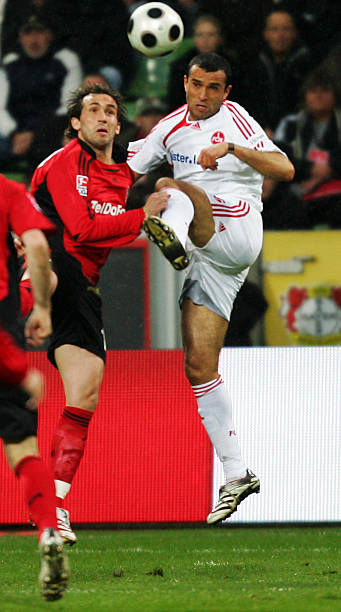 续约感到高 续约感到高