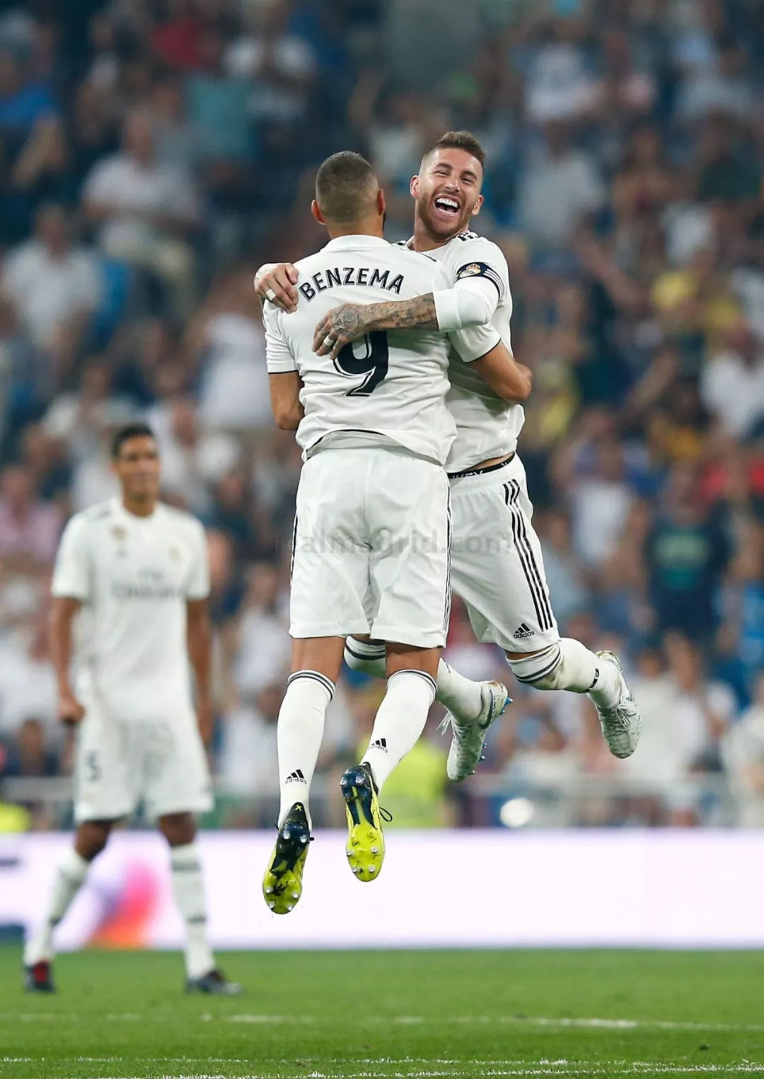 医学评估 医学评估